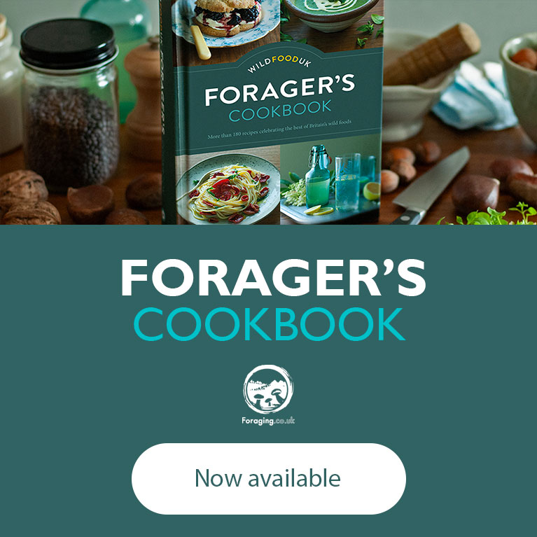 Forager's Cookbook